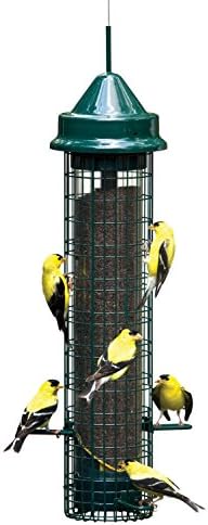 Squirrel Buster Finch Squirrel-proof Bird Feeder w/4 Metal Perches & 8 Feeding Ports, 2.4-pound Thistle/Nyjer Seed Capacity