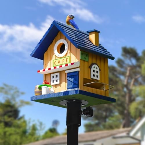 Colorful Bluebird House - Solid Cedar Wood Bird House + Feeder - Stainless Hardware - 2 Optional Hole Size 1.5" /1.25" - Post Mountable Multi-Functional (American Cafe)