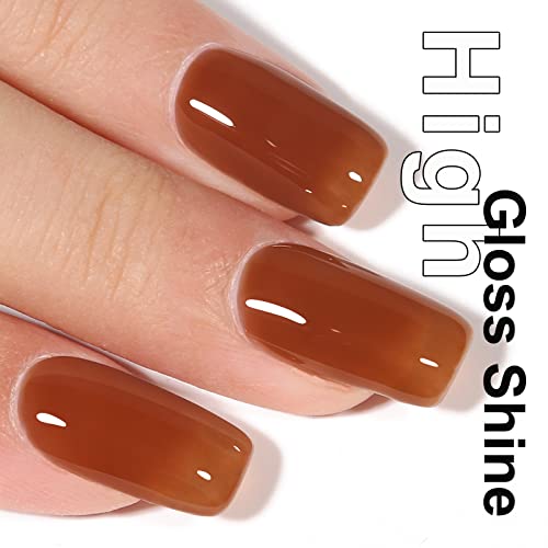 AILLSA Pink Glitter Gel Nail Polish Sheer Pink Rainbow Iridescent Polish Spring Holographic Jelly Nail Polish Gels Sparkle Shiny Soak Off U V Gel Nail Manicure Salon 0.51 Fl Oz/GF10