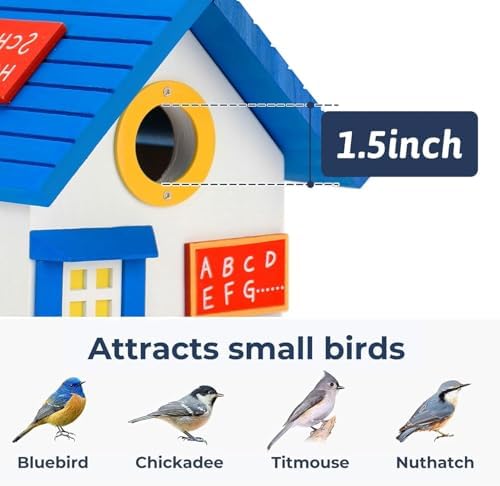 2IN1 Bluebird House+Bird Feeder - Bird House Clearance for Outside - Stainless Steel Perch Hinges - Removable Protector - Bluebirds, Sparrows, Chickadees Bird House for Outside on Pole Post