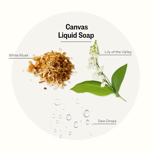 APOTHEKE Liquid Hand Soap, Canvas (10 Fl Oz) - Hydrating Hand Wash with Natural Coconut & Aloe Vera