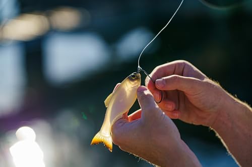 6th Sense Panorama Soft Plastic Lure – Realistic Forage Imitation, Versatile Rigging, Fluid Movement, Premium Paint Schemes