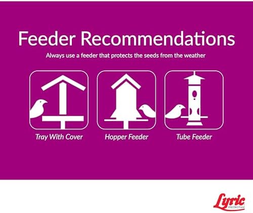 Lyric Sunflower Kernels Wild Bird Seed No Waste Bird Food - Attracts Finches & More - 10 lb. (Pack of 2-5 lb. Bags)