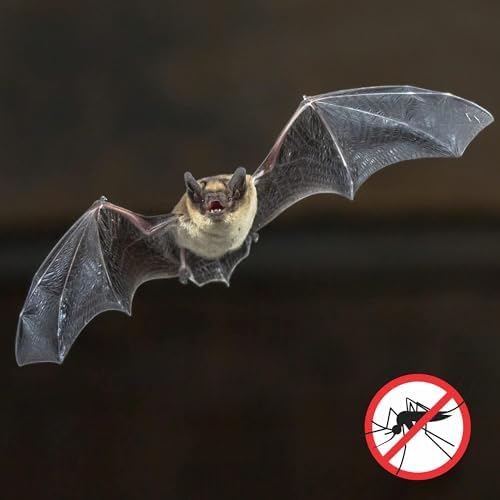 All-Natural Bat-Nip’ Pheromone Spray; 4 Fluid Ounces Bat House Attractant Spray