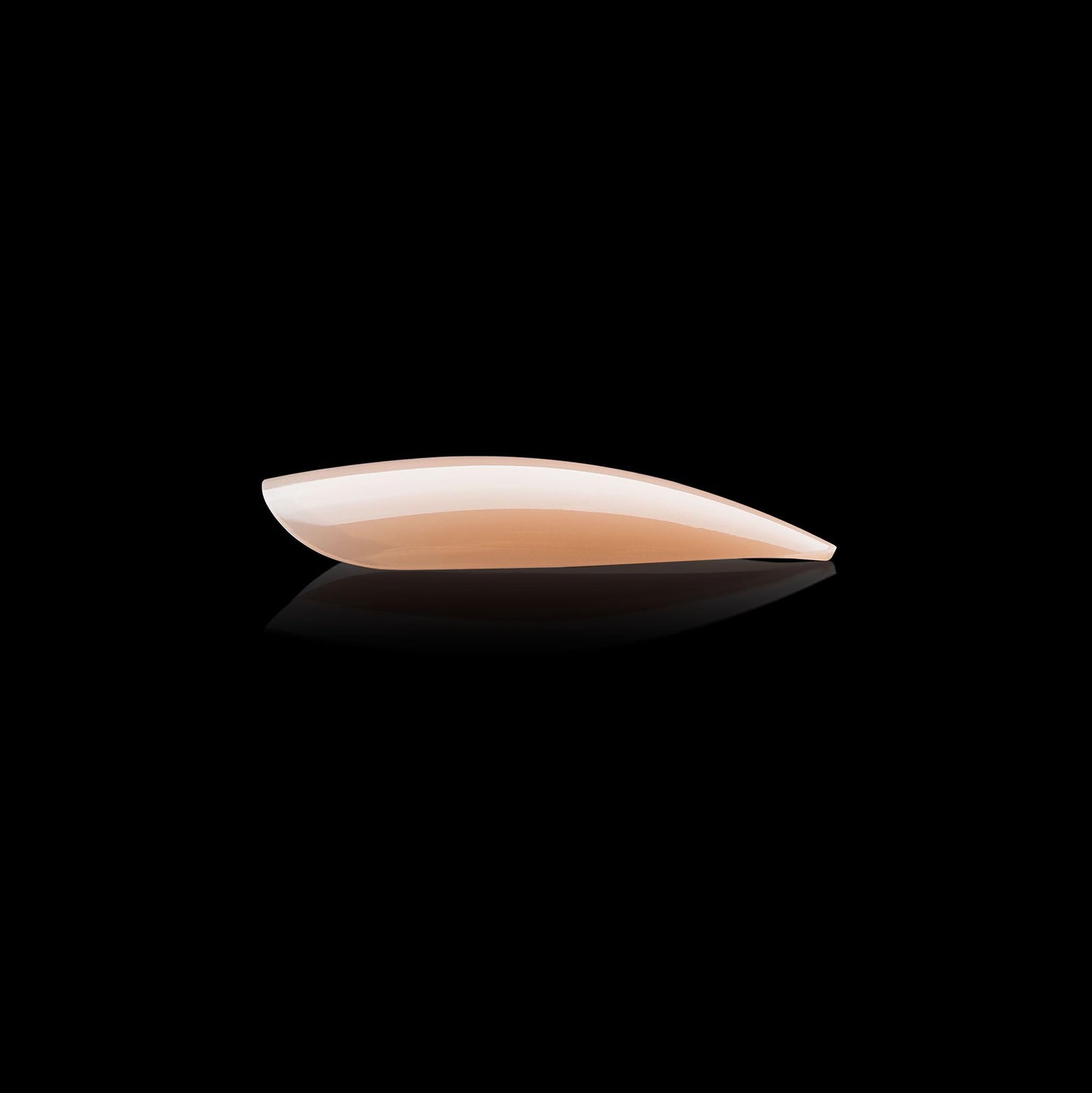 Apres Neutrals Gel-X Alex Box Of Nail Tips, 11 Sizes 00-9, Soft Gel Nail Tip Box, Nail Extensions (150pcs) (Natural Stiletto Medium, 150pcs)