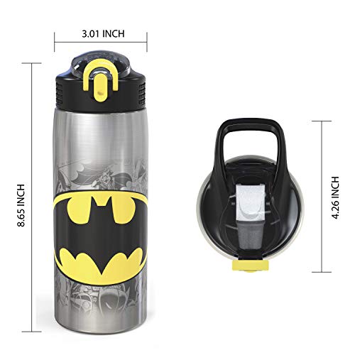 Zak Designs 18/8 Stainless Steel Kids Water Bottle with Flip-up Straw Locking Spout Cover, Durable Cup for Sports or Travel (15.5oz, Paw Patrol Skye),PWPT-S732
