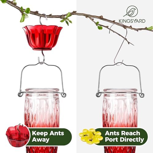 Kingsyard 2 Pack Glass Hummingbird Feeders for Outdoors Hanging, Wild Bird Nectar Feeder with 6 Feeding Ports, 24 oz Leak-Proof, Red Gradient (Ant Moat Included)