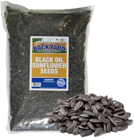 CountryMax Backyard Seeds Black Oil Sunflower Seeds for Wild Birds – 25 lb Bag – High-Energy Food for Cardinals, Jays, Woodpeckers – Backyard Feeder Favorite