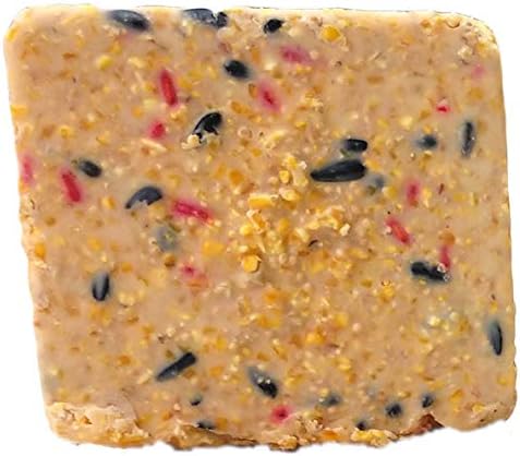 Suet Cake 12 Pack | Case of 12 Suet Cakes for Wild Birds (Woodpecker/Berry/High Energy/Peanut)