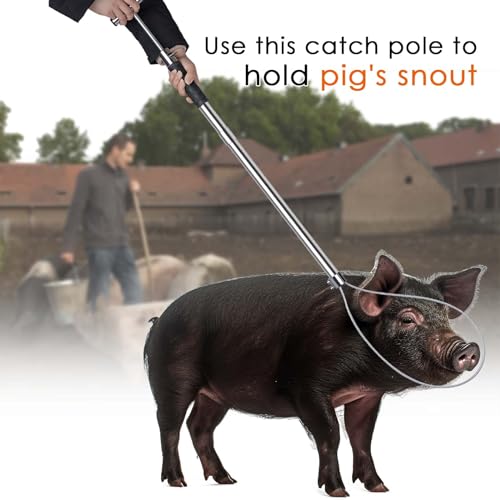 Dog Catcher Pole Animal Control Pole Stainless Steel Pig Holder Catcher Cat Catcher Pole Heavy Duty Catch Pole for Animals Cats Hogs Pigs and Small/Medium Dogs, Rod Length 30 inches