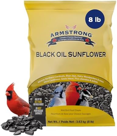 Black Oil Sunflower Bird Seed, 8 Pounds - for Northern Cardinals, Blue Jays and Hairy Woodpeckers - Ideal for Outside Feeders