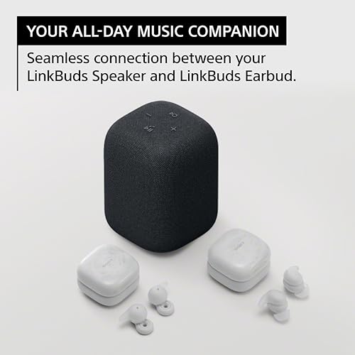 Sony LinkBuds Wireless Portable Bluetooth Speaker, Light Gray