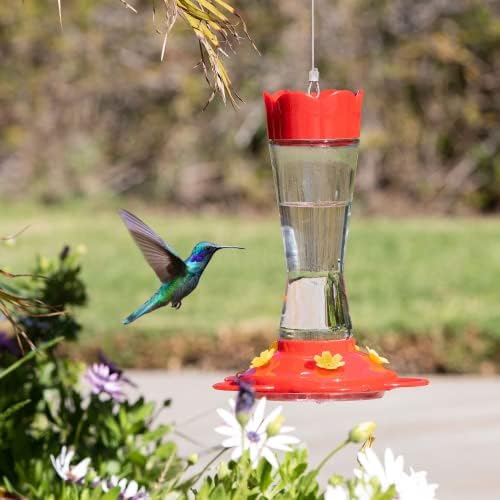 MEKKAPRO Two-Pack Hummingbird Feeders for Outdoors Hanging Made from Glass, 10oz, Hanging 5 Nectar Feeding Stations, Top Fill Hummingbird Feeder, Bright Red, Backyard Feeder (10 Ounce - 2 Pack)