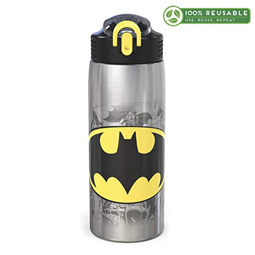 Zak Designs 18/8 Stainless Steel Kids Water Bottle with Flip-up Straw Locking Spout Cover, Durable Cup for Sports or Travel (15.5oz, Paw Patrol Skye),PWPT-S732