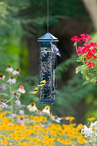 Squirrel Solution200 Squirrel-proof Bird Feeder w/6 Feeding Ports, 3.4-pound Seed Capacity, Free Seed Funnel and Wagner's 62004 Eastern Regional Wild Bird Food, 20-Pound Bag