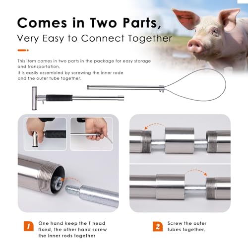 Dog Catcher Pole Animal Control Pole Stainless Steel Pig Holder Catcher Cat Catcher Pole Heavy Duty Catch Pole for Animals Cats Hogs Pigs and Small/Medium Dogs, Rod Length 30 inches