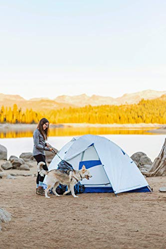 ALPS Mountaineering Lynx 3-Person Tent/Camping Tent, Easy Setup Durable, Weather-Resistant Design, Spacious & Ventilated/Lightweight with Gear Storage