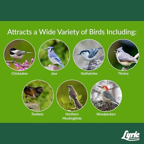 Lyric Woodpecker Wild Bird Seed, No Waste Bird Seed with Nuts, Dried Fruit & Shelled Seeds - 20 lb. Bag
