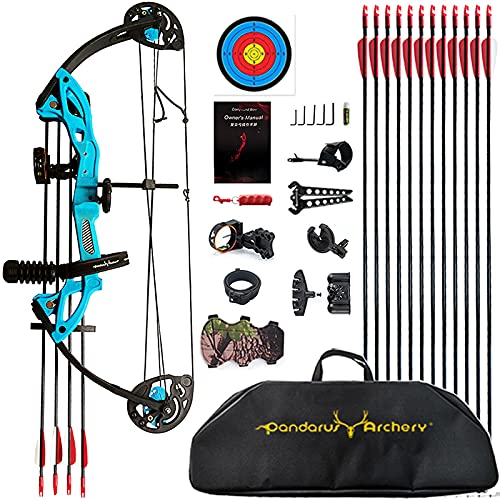 PANDARUS Compound Bow Archery for Youth and Beginner, Right/Left Handed,19”-28” Draw Length,15-29 Lbs Draw Weight, 260 fps, Package with Archery Hunting Equipment Carry Case（Blue Right Handed Pro）