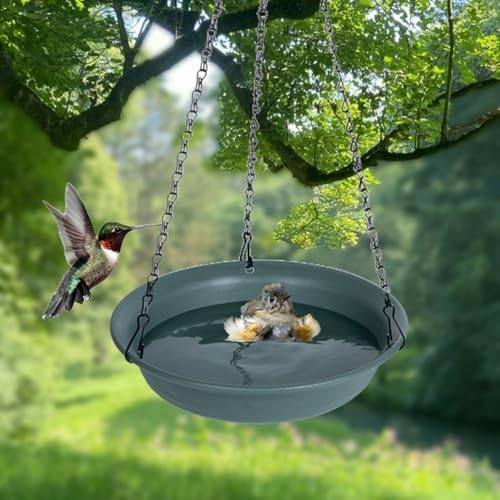 Hanging Bird Bath, Hanging Bird Water Feeder for Outdoors, Feeder Bowl, 1 Pack Birdbath Tray Accessories for Outside, Plastic Birdbaths Tray for Garden Patio Decoration (16", Living Green)