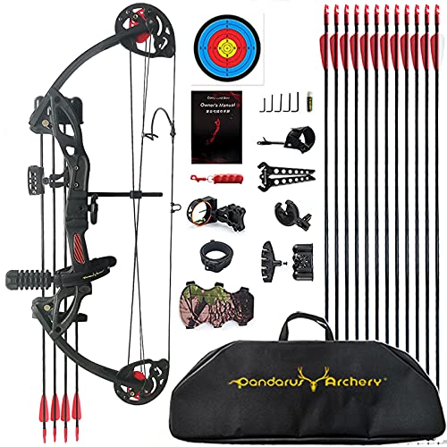 PANDARUS Compound Bow Archery for Youth and Beginner, Right/Left Handed,19”-28” Draw Length,15-29 Lbs Draw Weight, 260 fps, Package with Archery Hunting Equipment Carry Case（Black Left Handed Pro）