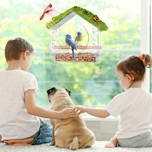 Clear Window Bird Feeder with 4 Strong Suction Cups & Decorative Lawn Top - Ideal for Garden/Yard Decor, Elderly & Kids Bird Watching, Unique Gift for Nature Lovers