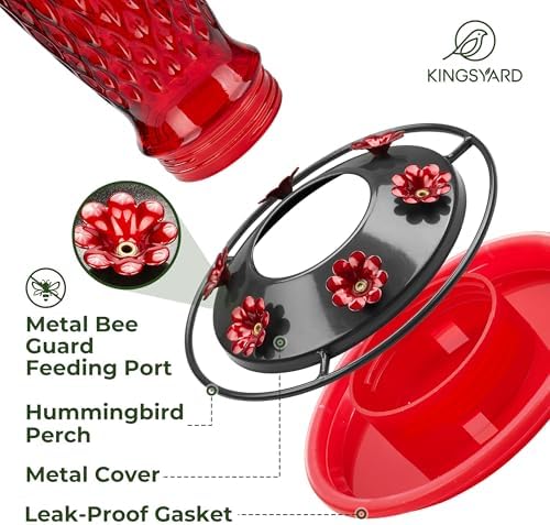 Kingsyard Hummingbird Feeders for Outdoors Hanging, 24 Ounce, Glass Hummingbird Feeder with Ant Moat & 6 Bee Guard Feeding Ports, Leak-Proof, Green & Red