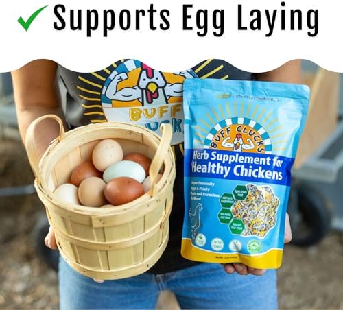 Chicken Nesting Herbs for Backyard Chickens - All-Natural Aromatic Blend for Nesting Boxes & Chicken Coop - Plant-Based Herb Treat for Refreshing The Coop, Egg Production, USA (12 oz)