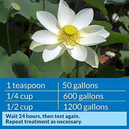 API POND pH DOWN Pond Water pH Reducing Solution 16-Ounce Bottle, White, Model:170B