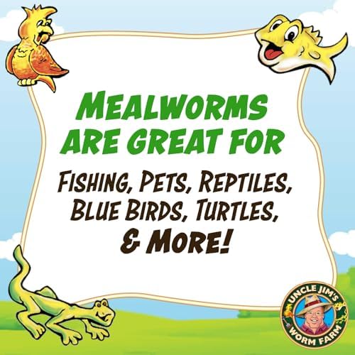 Uncle Jim's Worm Farm 3000 Count Mealworms for Reptiles and Chickens | Mealworms for Feeding Lizard, Gecko, Bearded Dragons, Chickens, Birds, and More | Suitable for Fishing Bait