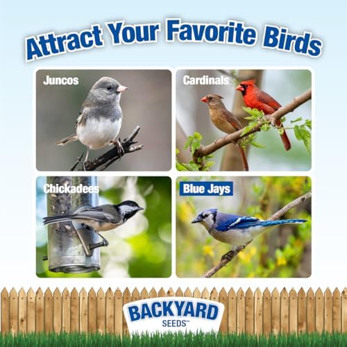 CountryMax Backyard Seeds Black Oil Sunflower Seeds for Wild Birds – 25 lb Bag – High-Energy Food for Cardinals, Jays, Woodpeckers – Backyard Feeder Favorite