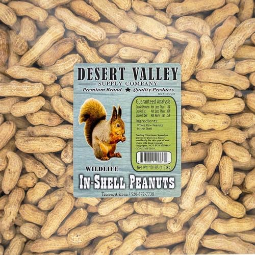 Desert Valley in Shell Peanuts, All Natural Premium Wild Bird and Wildlife Food for Squirrels, Chipmunks, Cardinals, Jays, Woodpeckers and More (10 Pounds)