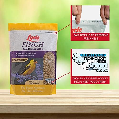 Lyric Finch - Small Songbird Wild Bird Seed - Attracts Goldfinches, House Finches, Purple Finches & More - 5 lb. Bag (Pack of 2)