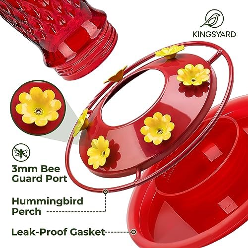 Kingsyard 2 Pack Glass Hummingbird Feeders for Outdoors Hanging, Wild Bird Nectar Feeder with 6 Feeding Ports, 24 oz Leak-Proof, Red Gradient (Ant Moat Included)