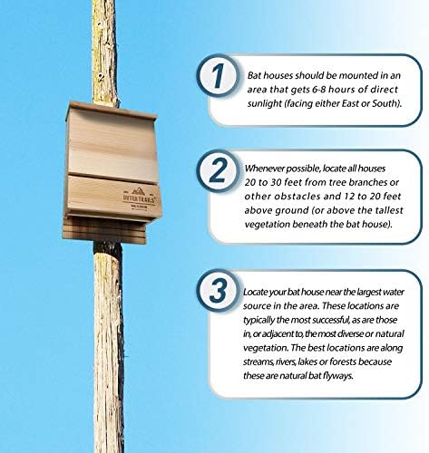 Bat House Outdoor Bat Habitat, Natural Cedar Wood, 2 Chamber