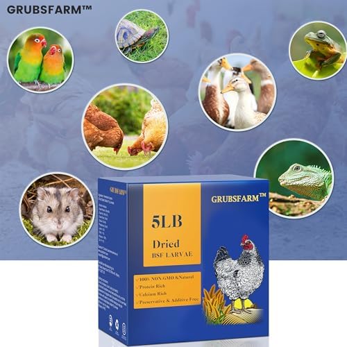 Superior to Dried Mealworms for Chickens 5lb - 85X More Calcium Than Mealworms - Non-GMO Chicken Feed - Molting Supplement - BSFL Treats for Hens, Ducks, Turkeys, Wild Birds, Quails