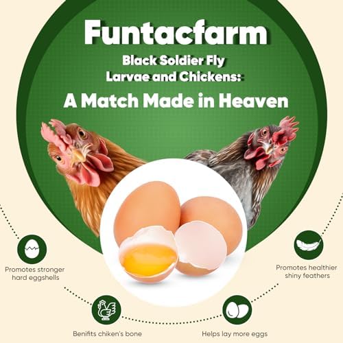 10LB Dried Black Soldier Fly Larvae for Chickens, High Protein Chicken Feed Superior to Meal Worms for Wild Birds & Chicken Treats for Laying Hens