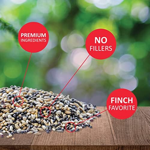 Lyric Finch - Small Songbird Wild Bird Seed - Attracts Goldfinches, House Finches, Purple Finches & More - 5 lb. Bag (Pack of 2)