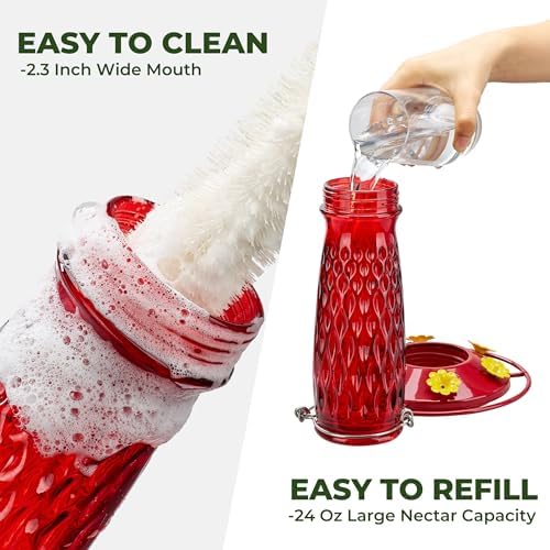 Kingsyard 2 Pack Glass Hummingbird Feeders for Outdoors Hanging, Wild Bird Nectar Feeder with 6 Feeding Ports, 24 oz Leak-Proof, Red (Ant Moat Included)