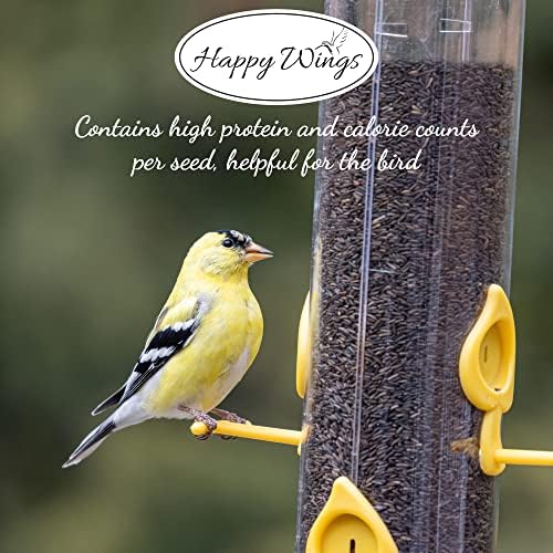 Nyjer Thistle Seeds for Wild Birds 15 lbs No Grow Premium Bird Seed Attracts Finches, Goldfinches, Ideal for Year-Round Feeding High in Protein and Energy.