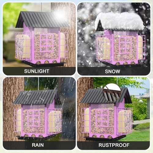 Bird Feeders for Outdoors Hanging, Metal Bird Feeder with Double Suet Cage Cake, Large Capacity, Birdfeeders Sturdy & Weatherproof, Easy to Clean & Refill, Great for Attracting Wild Birds