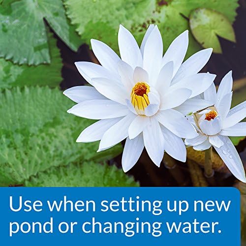API POND CHLORINE & HEAVY METAL NEUTRALIZER Pond Water Neutralizer 32-Ounce Bottle