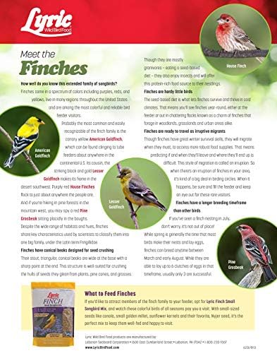 Lyric Finch - Small Songbird Wild Bird Seed - Attracts Goldfinches, House Finches, Purple Finches & More - 5 lb. Bag (Pack of 2)