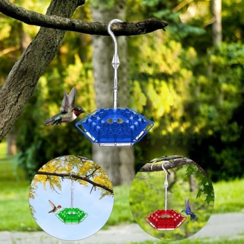 Ant & Bee-Proof Hummingbird Feeder with 30 Feeding Ports - 11oz Easy-Clean Outdoor Hanging Feeder, Includes Perch & Cleaning Brush for Window and Backyard Decoration (1, Green)