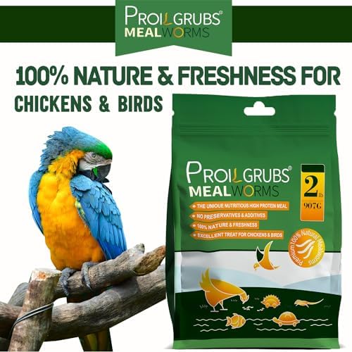 PROILGRUBS 2 LBS Dried Mealworms Super High Protein Nutritious Feed for Birds &Chickens - Organic Meal Worms for Laying Hens,Duck,Fish,Turtle,Reptil…