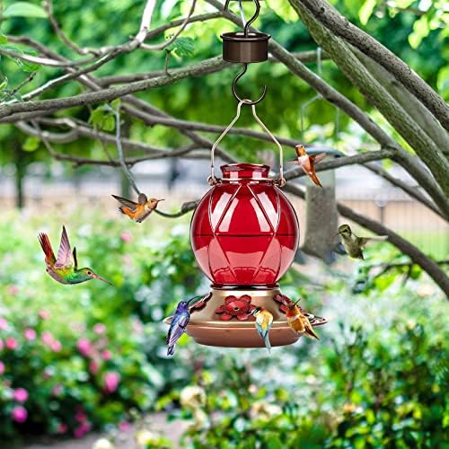 BOLITE Hummingbird Feeder, Glass Hummingbird Feeders for Outdoors Hanging, Five Feeding Ports, 20 Ounces, 2 Pack, Red and Purple, Birthday Gifts for Women Men, Gifts for Mom Dad