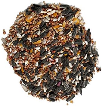 Audubon Park Nut & Fruit Snack Stack Wild Bird Food, Bird Seed Cake for Outside Feeders, 6-Pack & Wagner's 62067 Deluxe Treat Blend Wild Bird Food, 4 Pound (Pack of 1)