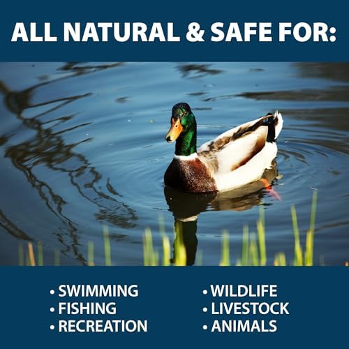 Airmax PondClear Packets, Beneficial Bacteria & Enzyme Clarifier Treatment with Ecoboost PRx, Clear & Clean Pond & Lake Water, Safe for Fish, 12-Count