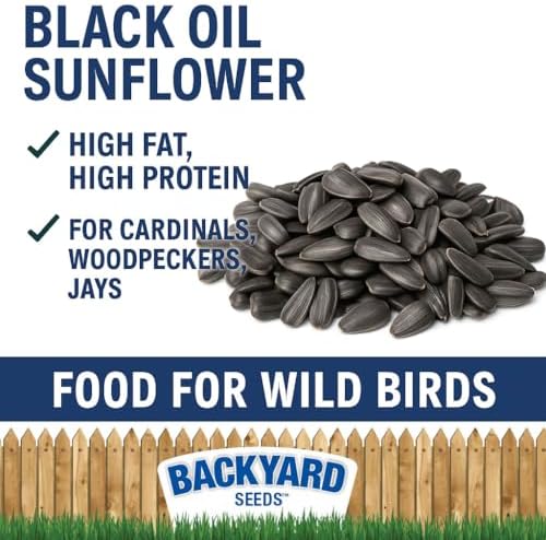 CountryMax Backyard Seeds Black Oil Sunflower Seeds for Wild Birds – 25 lb Bag – High-Energy Food for Cardinals, Jays, Woodpeckers – Backyard Feeder Favorite