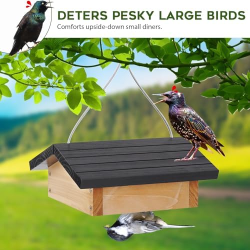 Upside-Down Suet Feeder Squirrel Proof with Durable Cedar Wood,Winter Bird Feeders for Outdoors Hanging, Attracts Woodpeckers, Nuthatches, and Chickadees, Easy to Refill